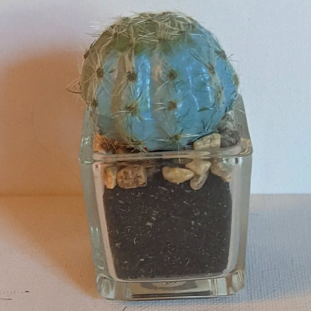 NWT Ashland Faux Mini Fuzzy Cactus Pot Floral Succulent Summer Desert Michael's